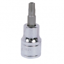 지니어스 별비트소켓 홀형 3/8 (9.5mm)