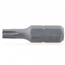 세신 별비트 숏 10EA