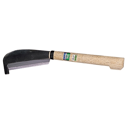 골드 정글도 1609