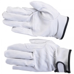 동호상사 알곤장갑 돈피