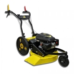 Roques & Lecoeur 자주식 긴풀 제초기 RL2006RL