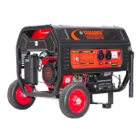 야마비시 산업용 가솔린 발전기 FPG3801IE