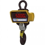 AND 에이앤디 매달림 전자저울 TC-1t 시리즈