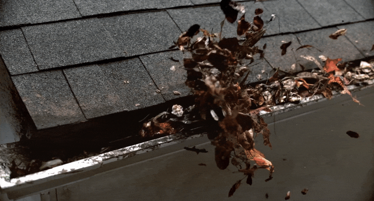 f3d6f34df8cb200e72605d81df439b5a_104906.gif