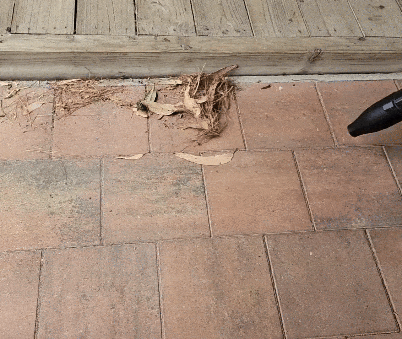 fe0e31773ea2e4faa4e23bce9da88e1a_162241.gif