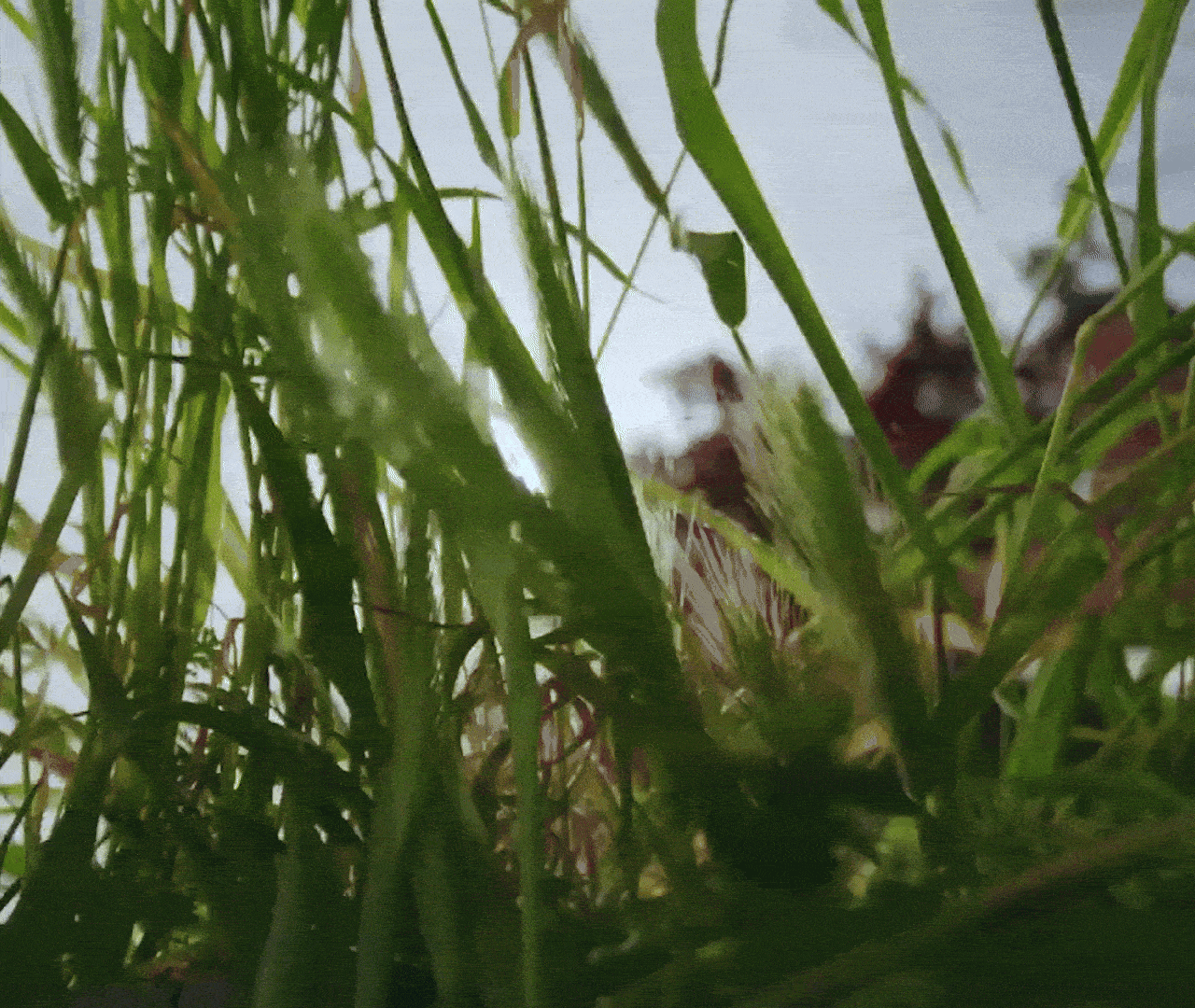 47744e7ea8f6e408e321e6c4b8cb35d1_110757.gif