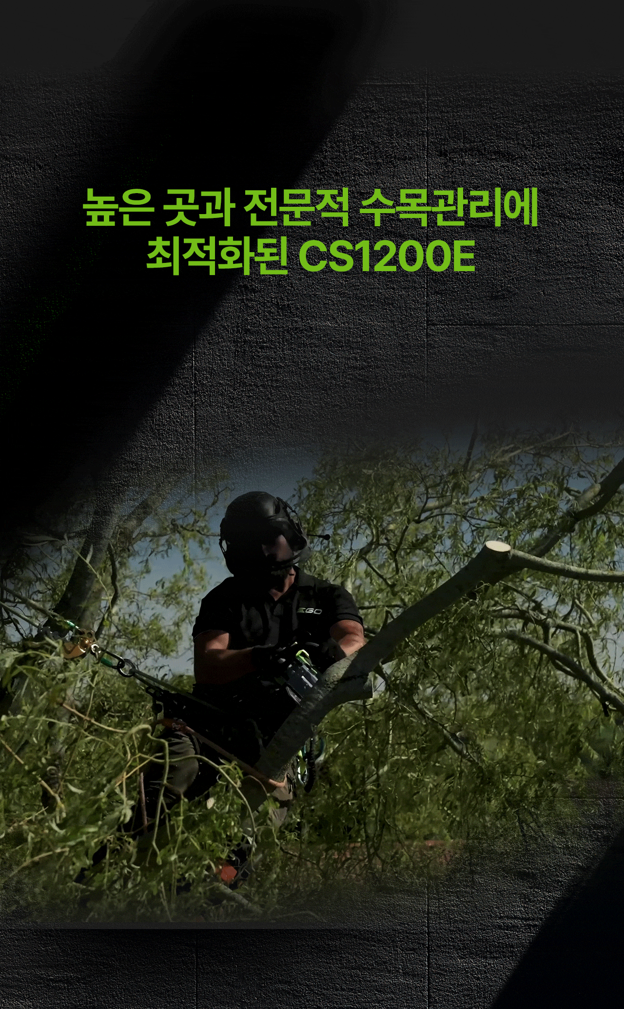 c81e728d9d4c2f636f067f89cc14862c_092250.gif
