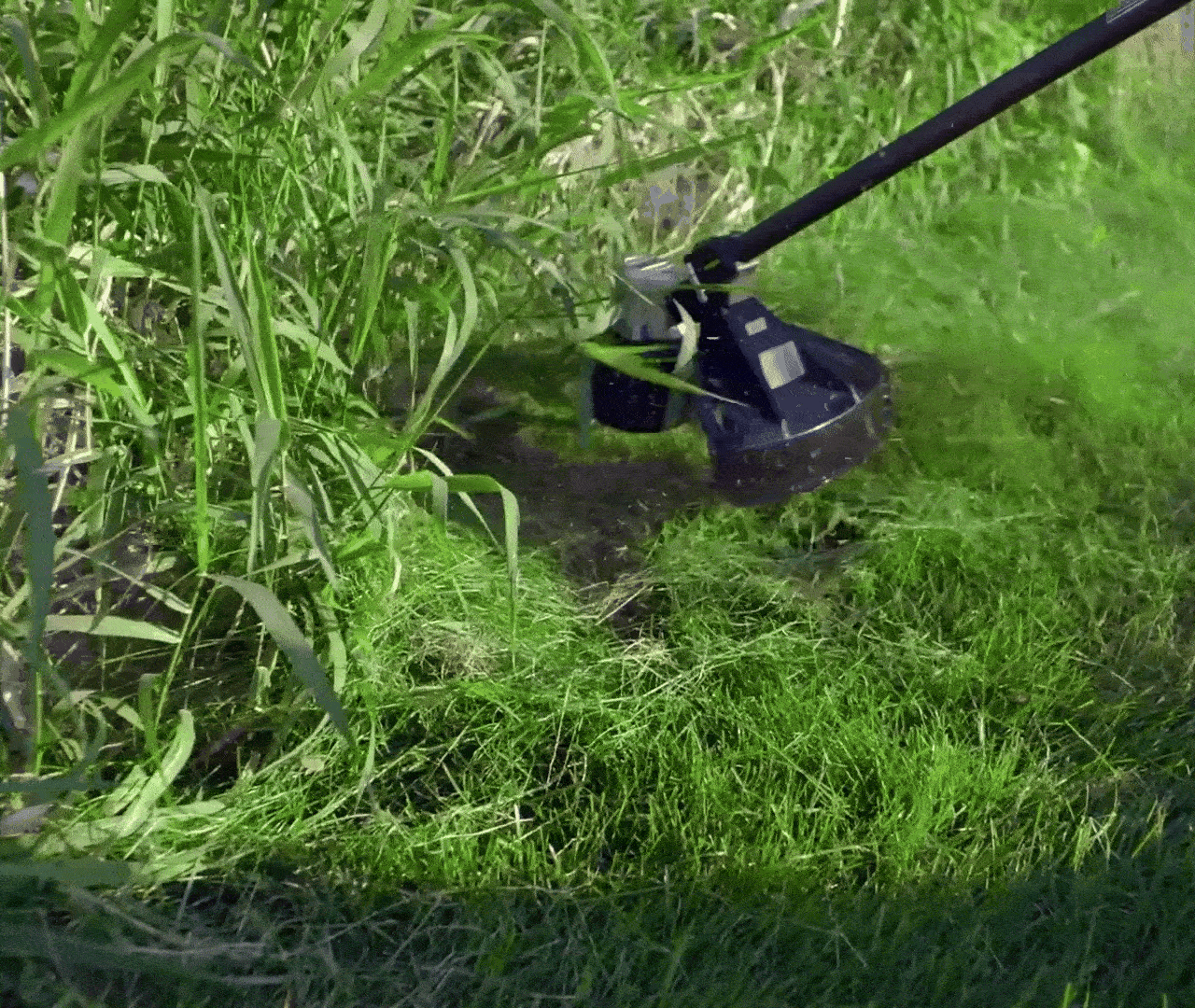 2c7bfd20d55c1dd298b61c365a481c99_093402.gif