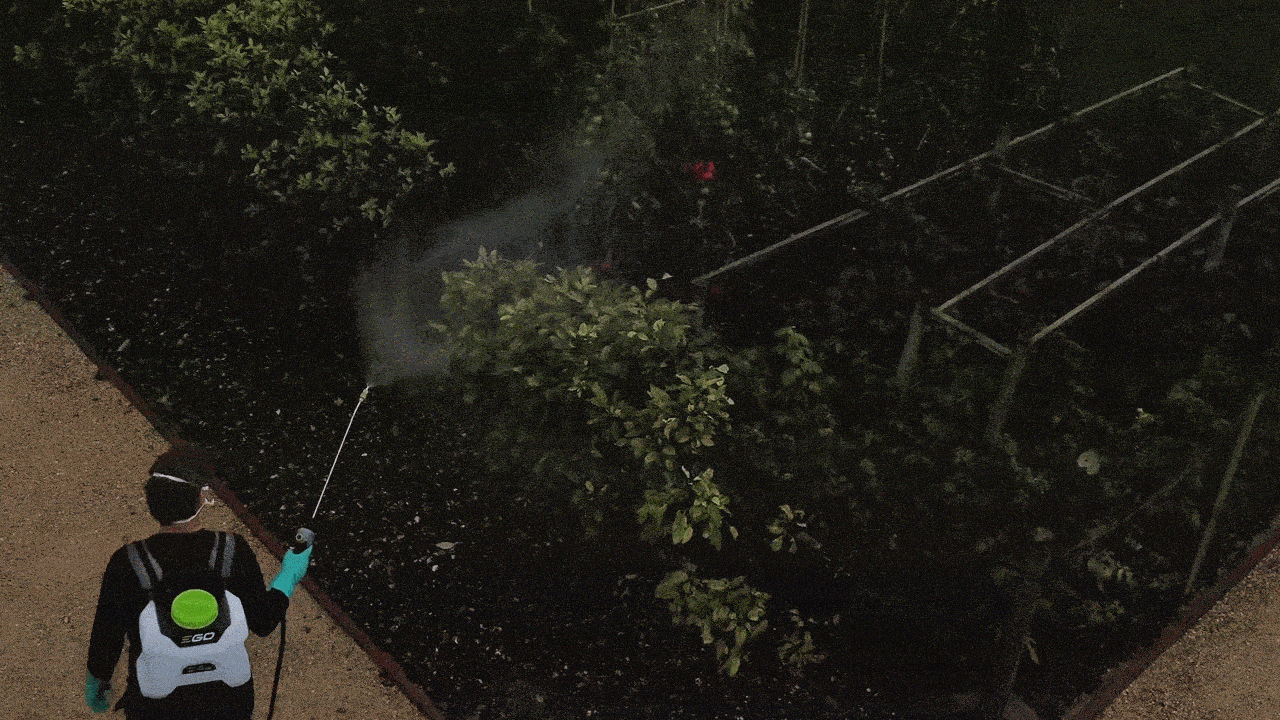 d924bcdf0a3261420e22588c4cd37eb4_090143.gif